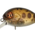 Vobler Pontoon21 Baby RedRag 32F-MDR 3.2cm 5.1g 829 F